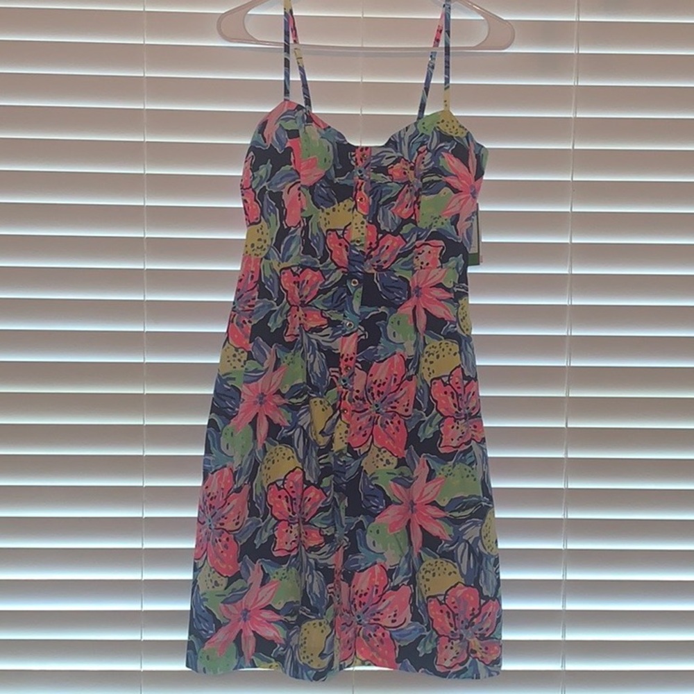 NWT Lily Pulitzer dress